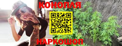Альфа ПВП Краснознаменск