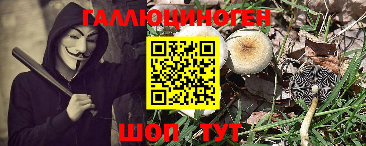 Галлюциногенные грибы GOLDEN TEACHER  Вход с VPN  Екатеринбург 